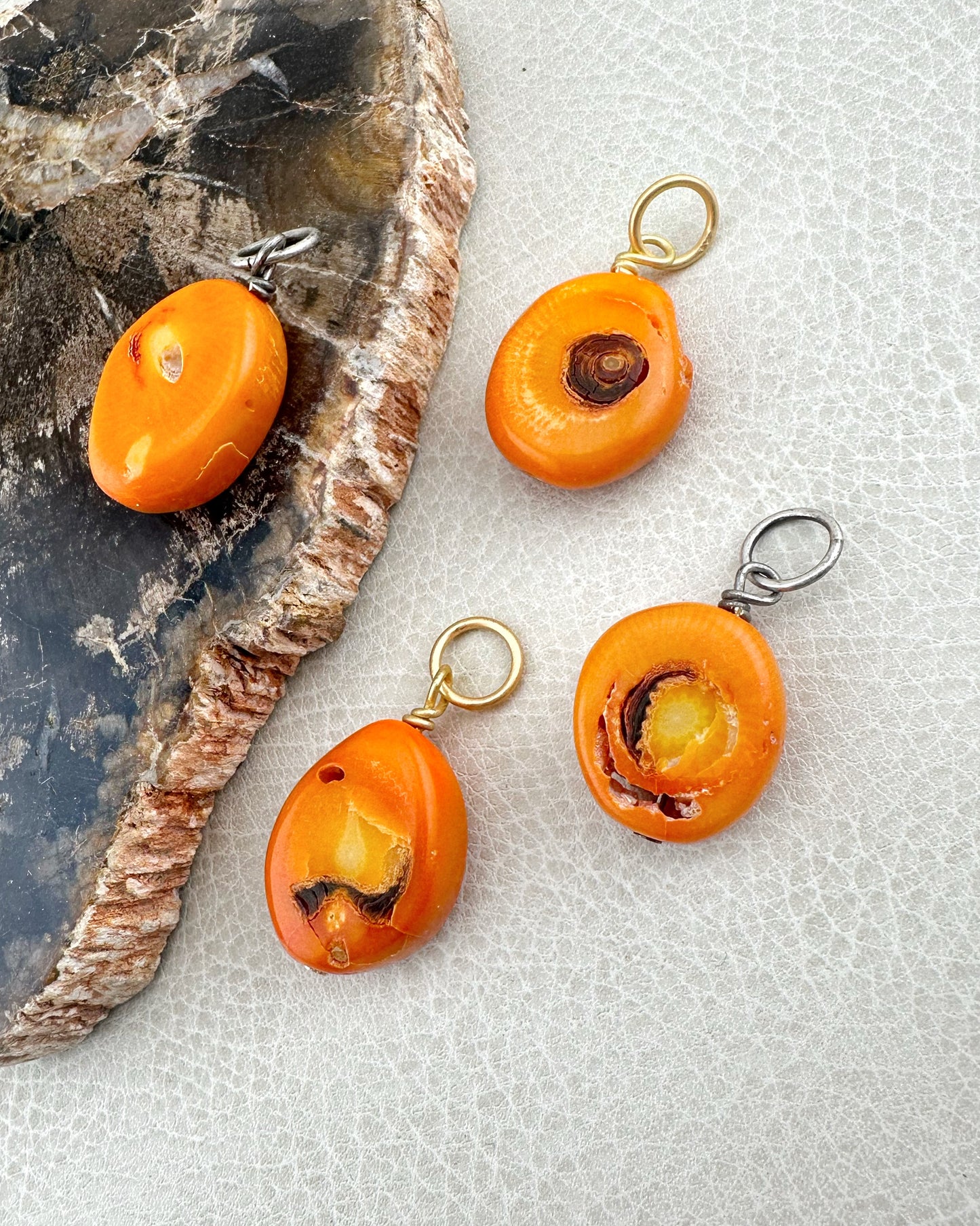 Orange Coral