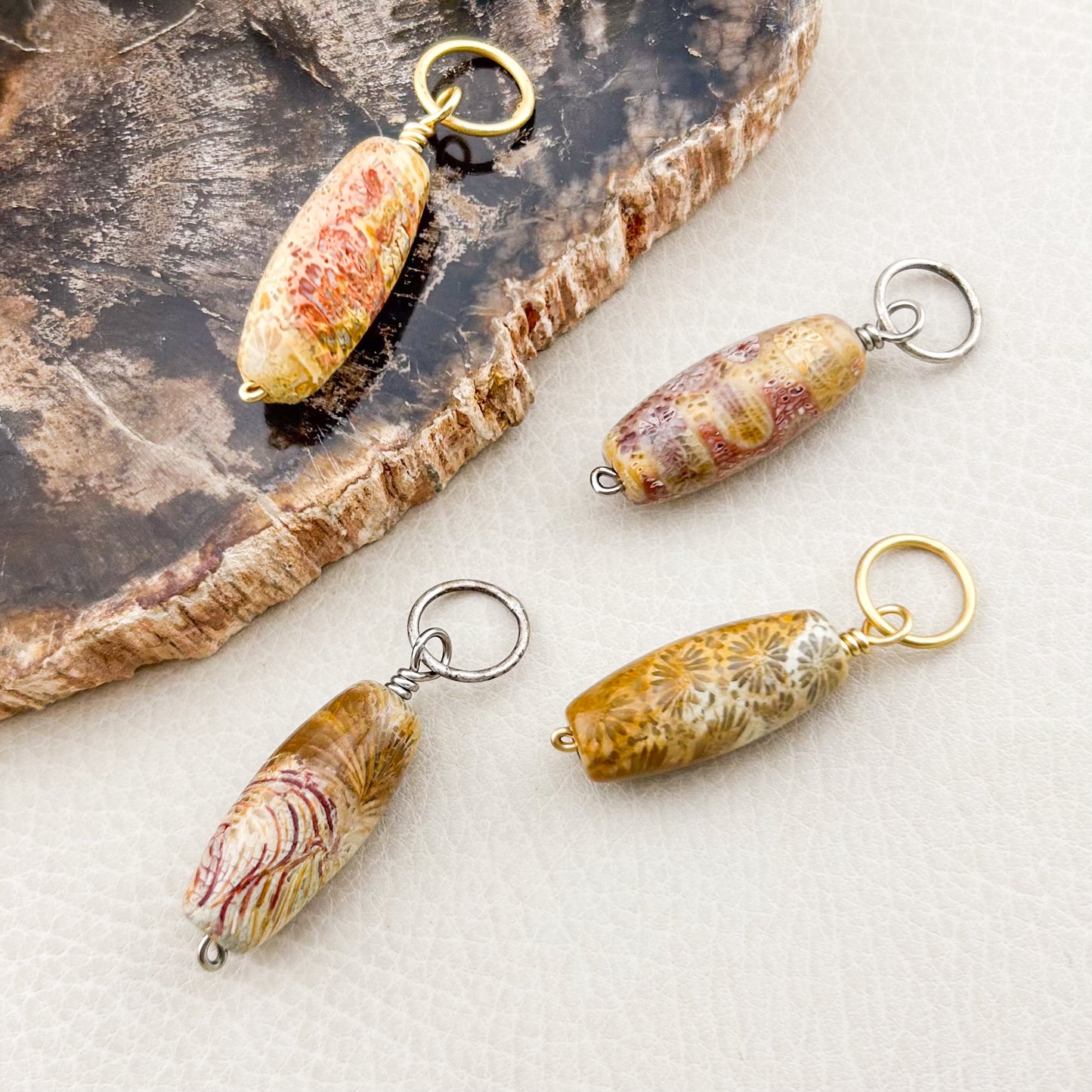 Agatized Fossil Coral