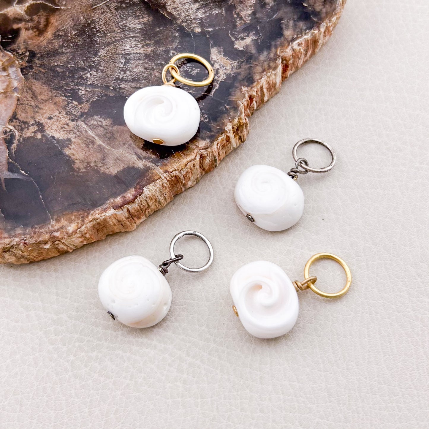 Spiral Shell (S)