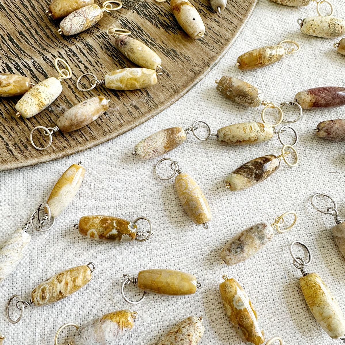 Agatized Fossil Coral (Med)