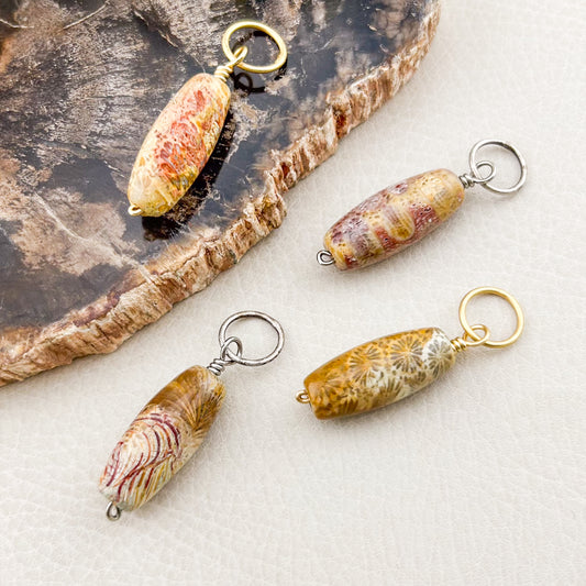 Agatized Fossil Coral
