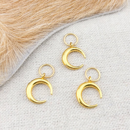 Crescent Moon Charm